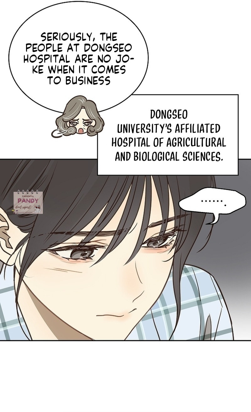 Flower of Allure Chapter 3 page 7 - 