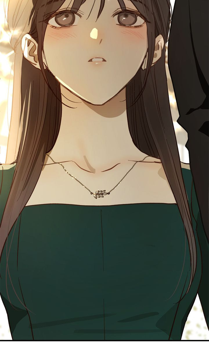 Flower of Allure Chapter 33 page 102 - 