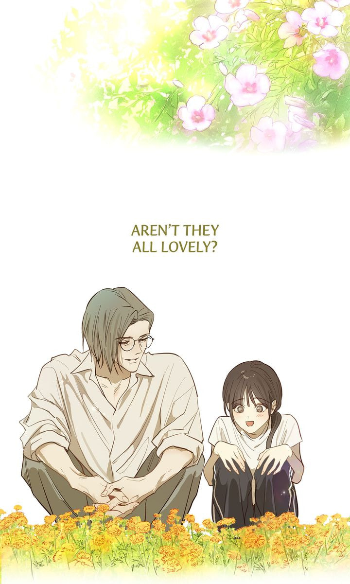 Flower of Allure Chapter 37 page 12 - 