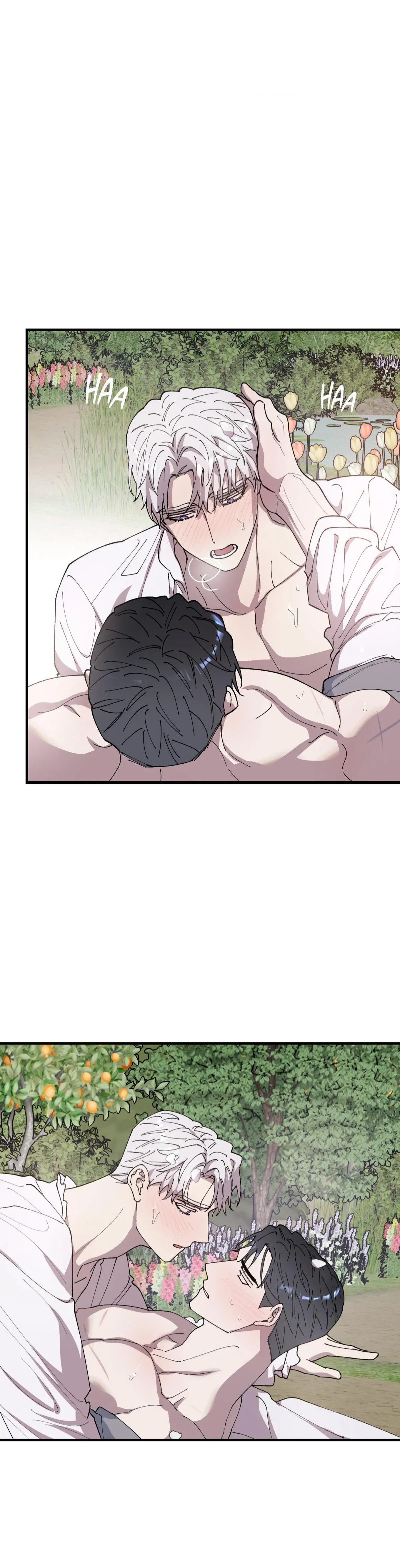 Flower of the Sun Chapter 107 page 19 - 