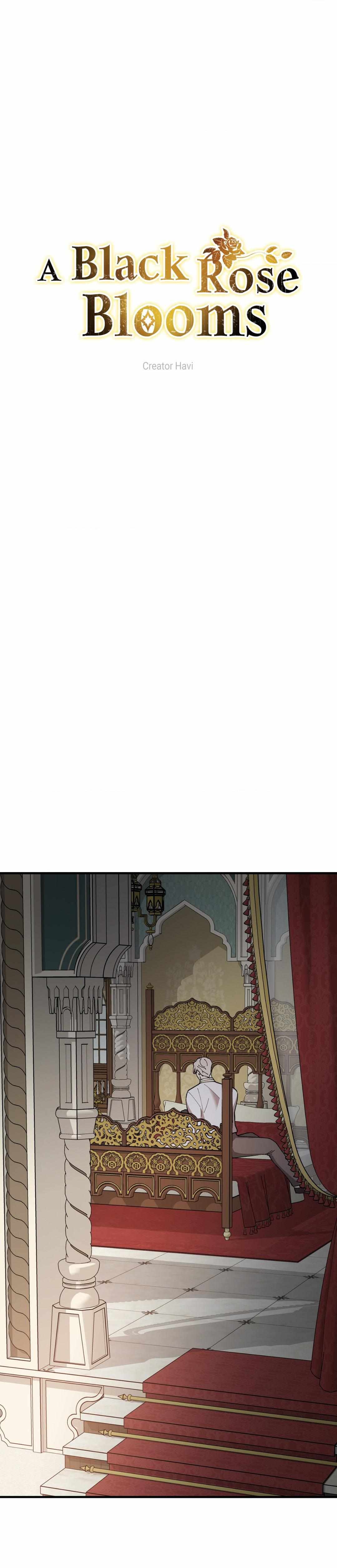 Flower of the Sun Chapter 64 page 3 - 