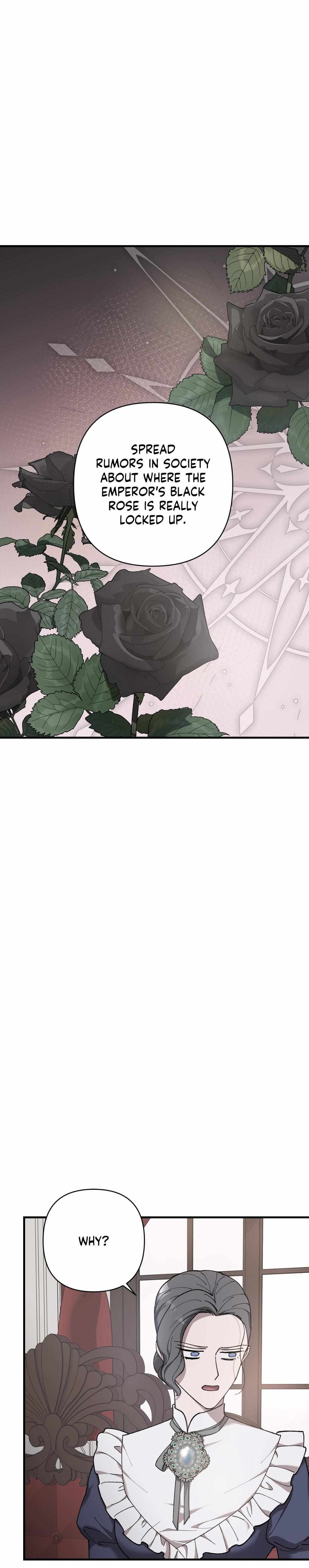 Flower of the Sun Chapter 73 page 11 - 