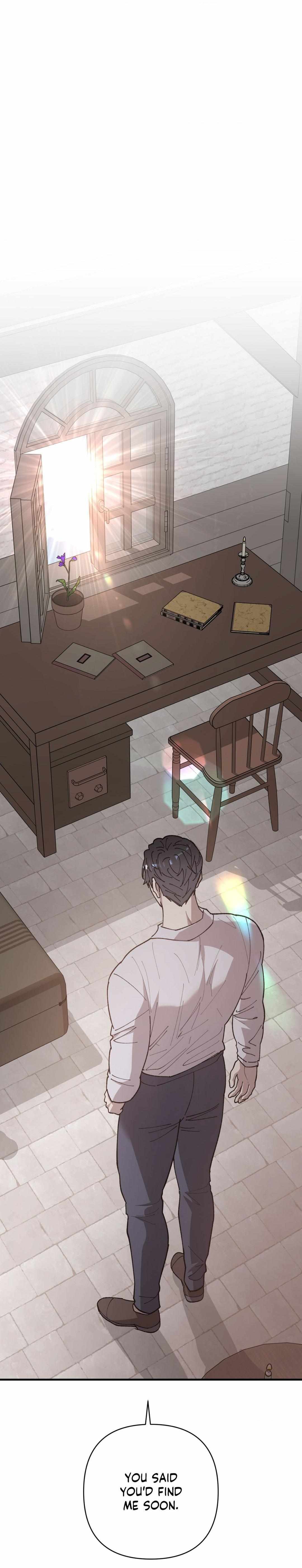 Flower of the Sun Chapter 95 page 29 - 