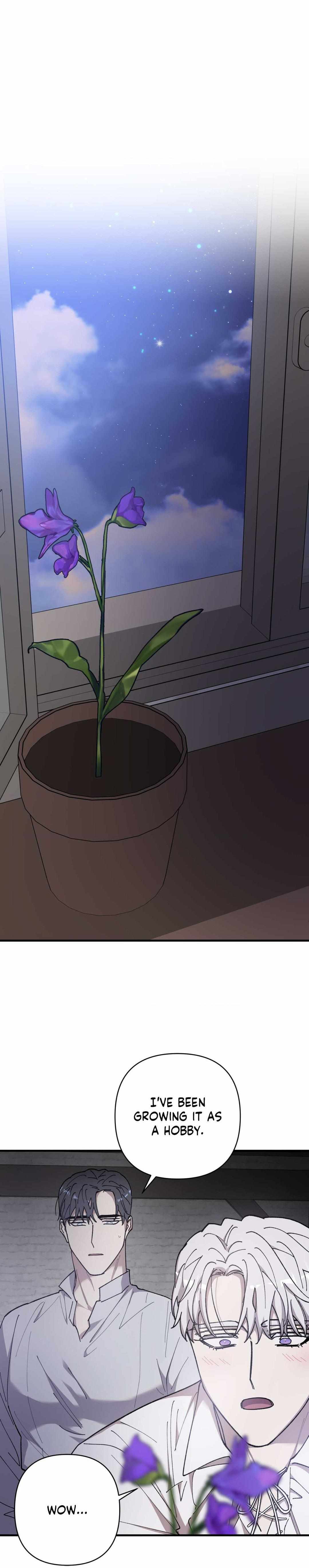 Flower of the Sun Chapter 97 page 18 - 