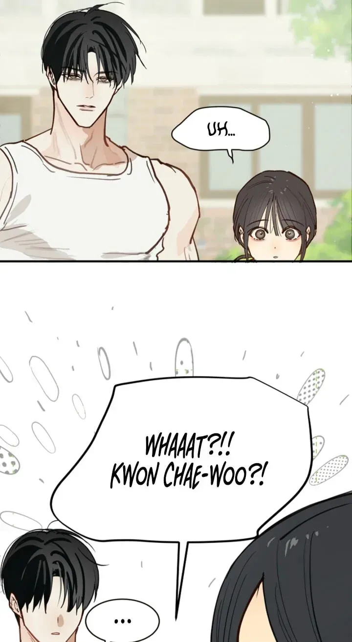 Flowers Are Bait Chapter 53 page 27 - 