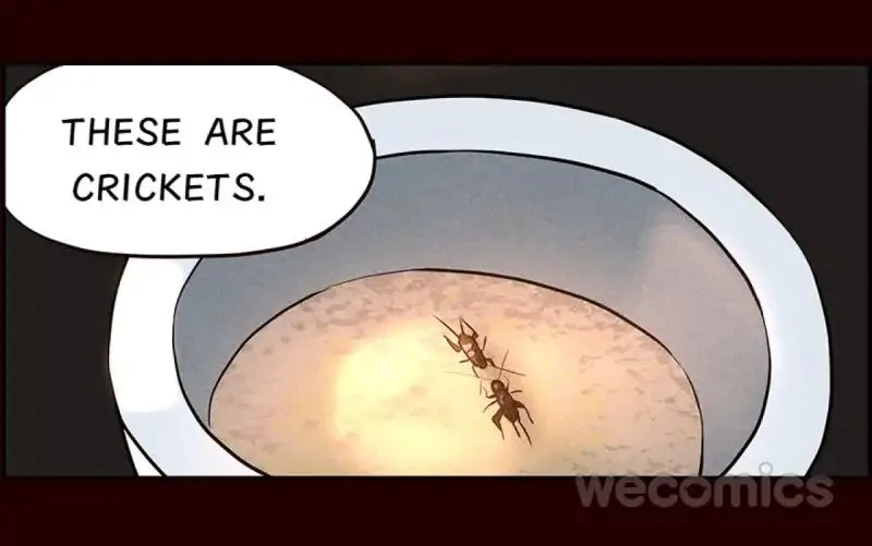 Flowers of Fog Chapter 1 page 26 - 