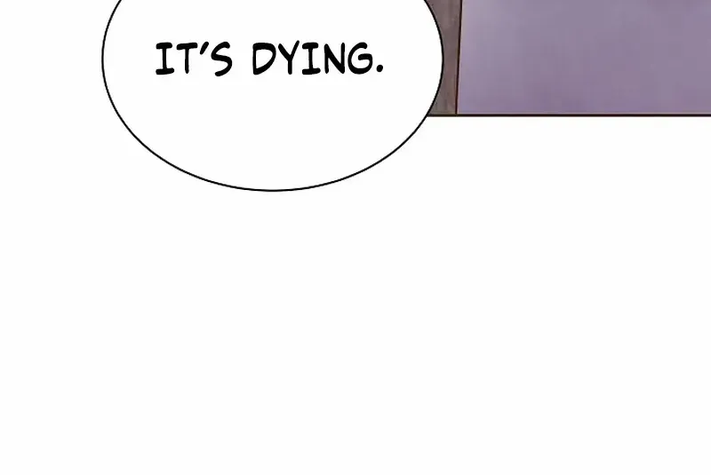 Flowers That Bloom at Night Chapter 18 page 51 - 