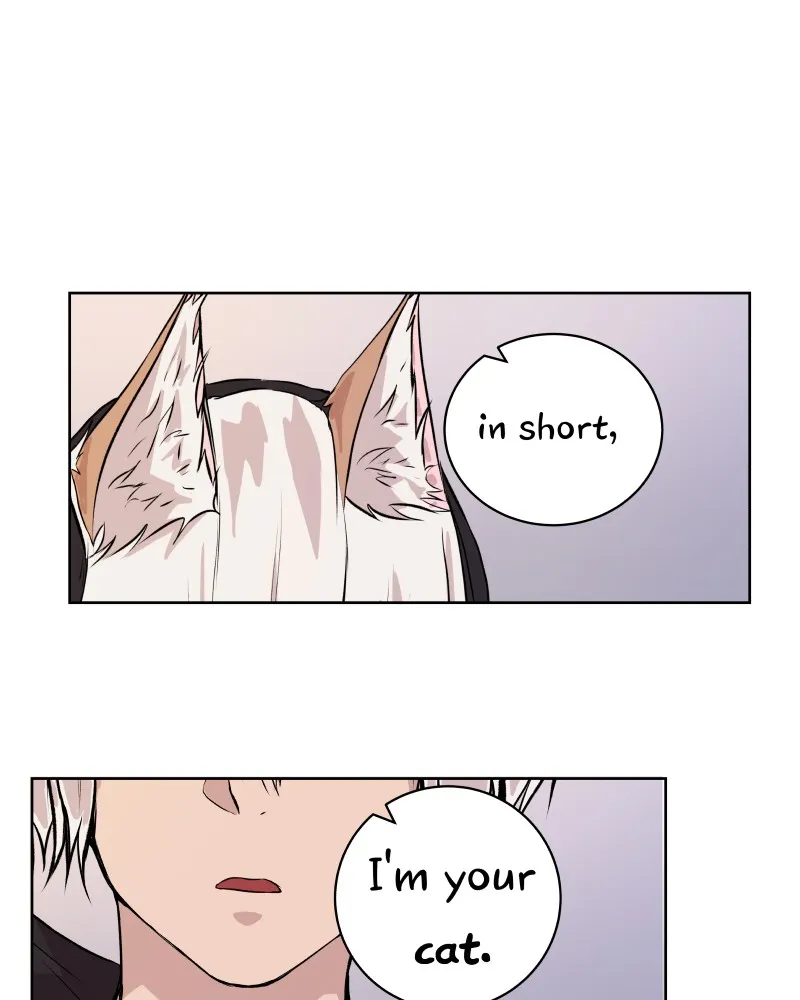 Fluffy Boyfriend Chapter 11 page 1 - 