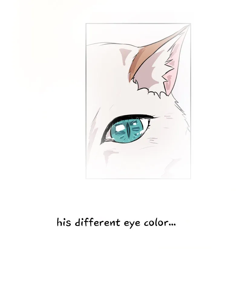 Fluffy Boyfriend Chapter 11 page 45 - 
