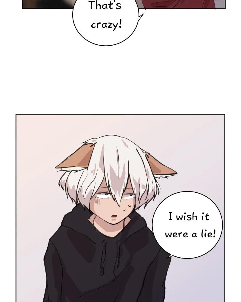 Fluffy Boyfriend Chapter 11 page 49 - 