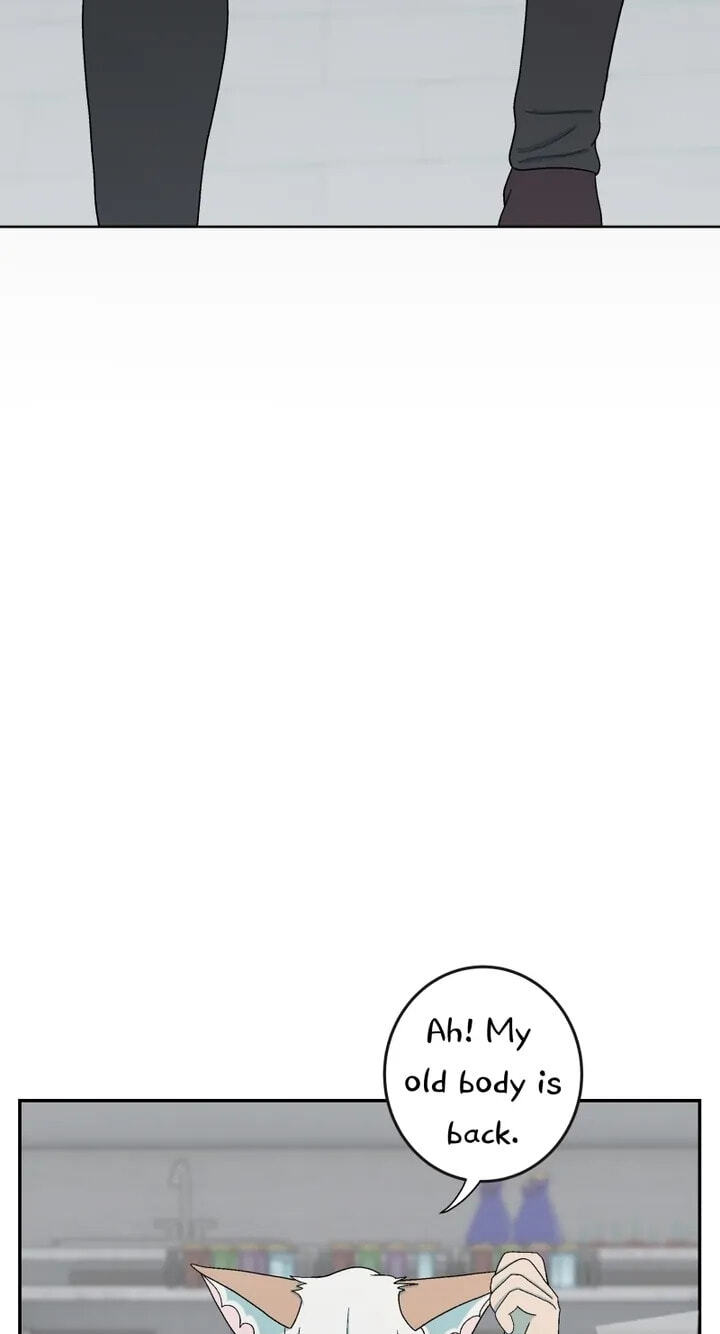 Fluffy Boyfriend Chapter 155 page 35 - 