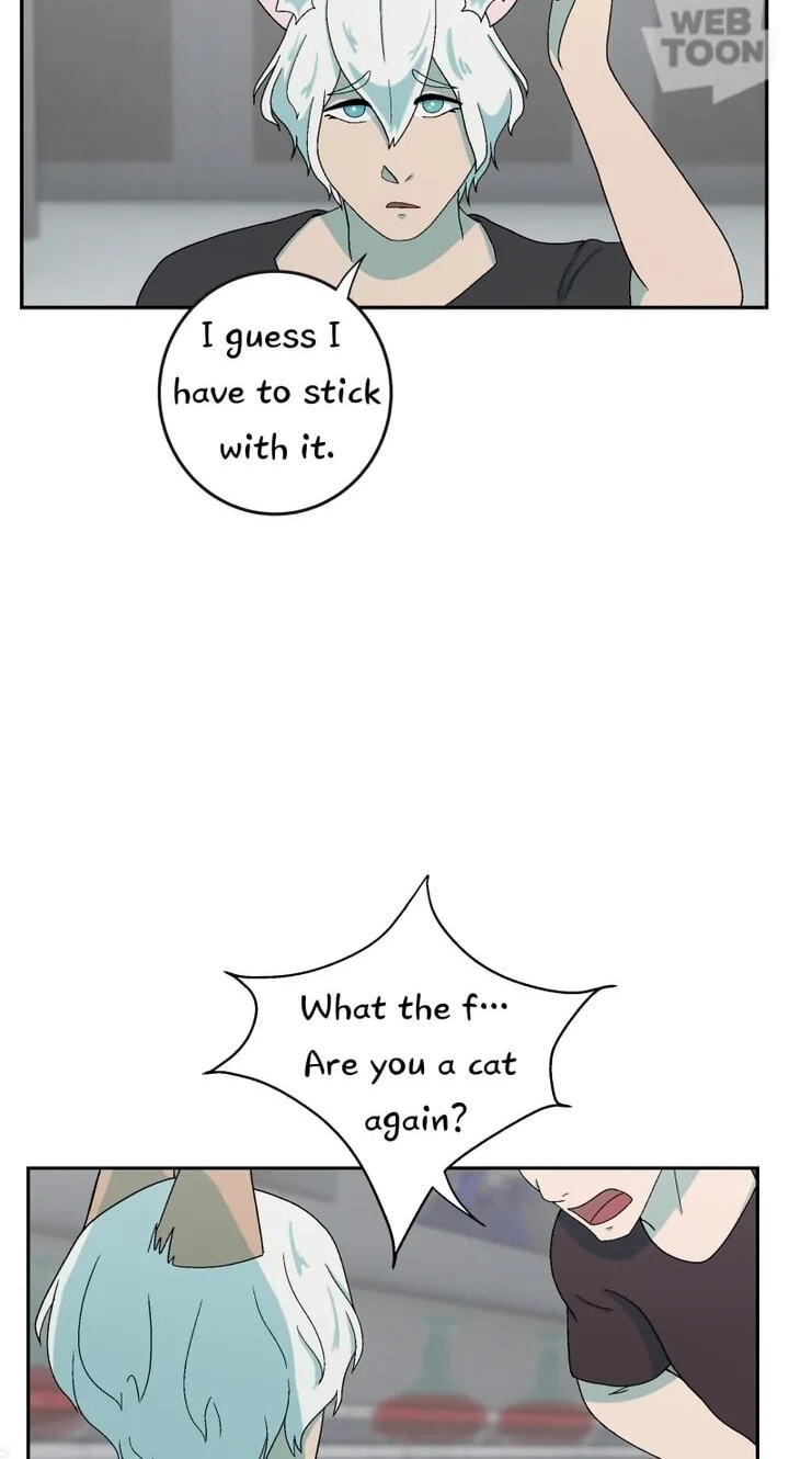 Fluffy Boyfriend Chapter 155 page 36 - 