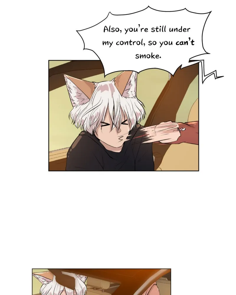 Fluffy Boyfriend Chapter 16 page 77 - 