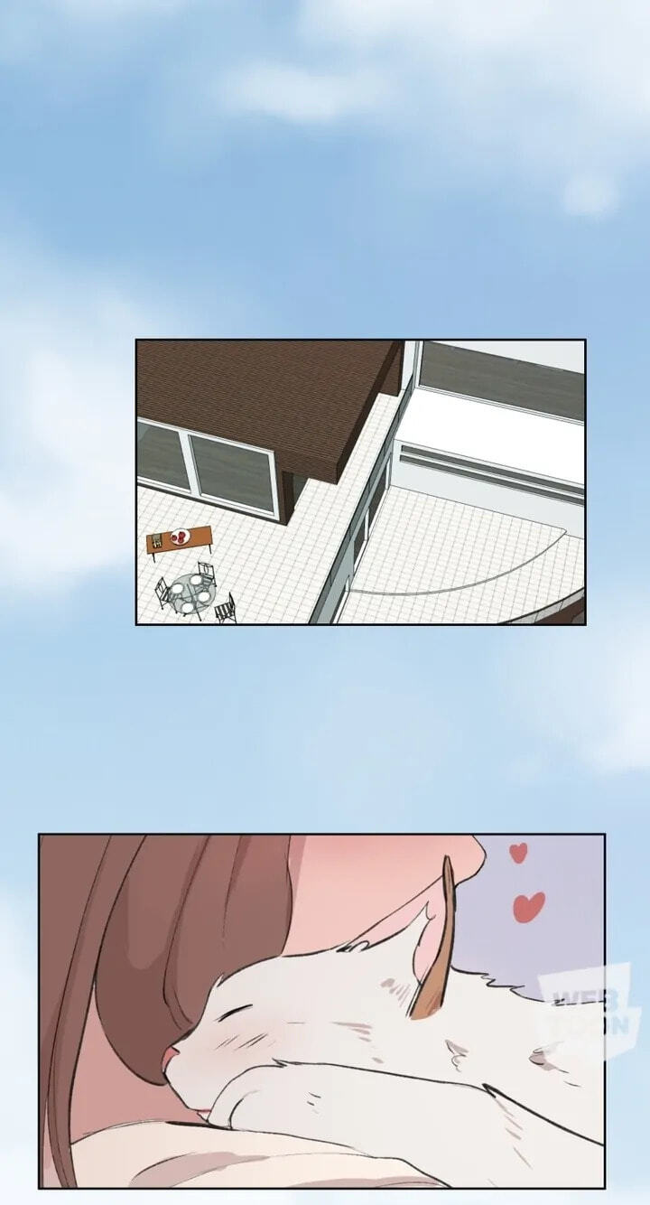 Fluffy Boyfriend Chapter 29 page 1 - 