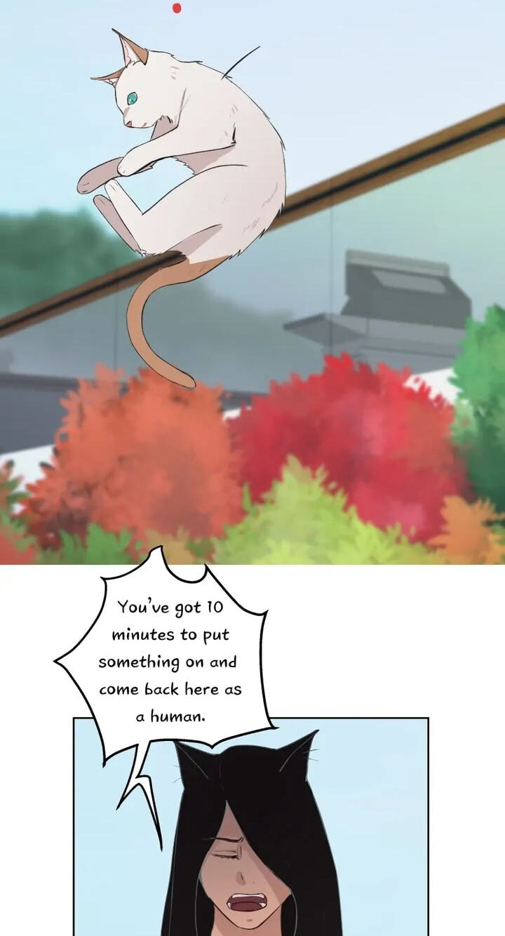 Fluffy Boyfriend Chapter 29 page 21 - 