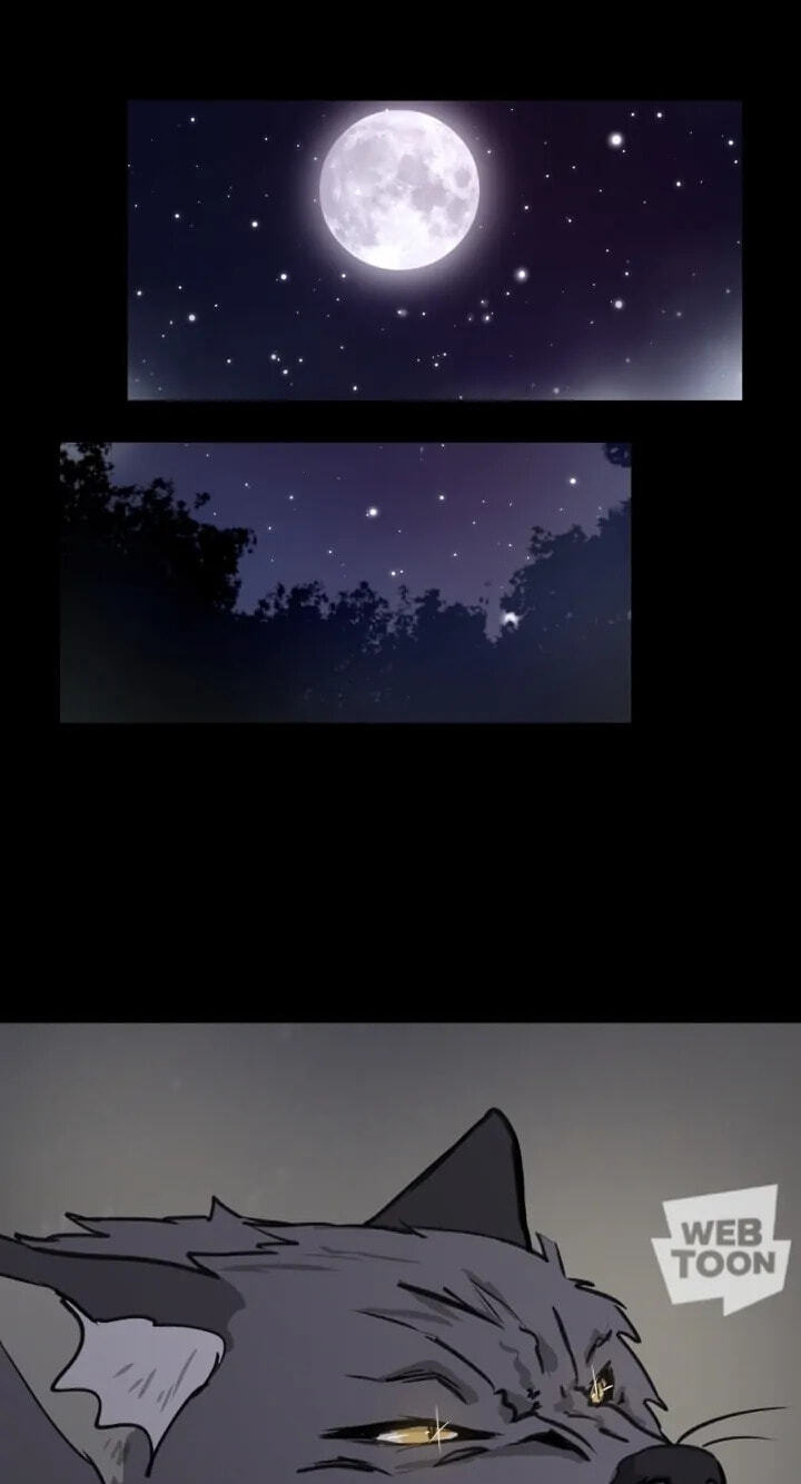 Fluffy Boyfriend Chapter 36 page 1 - 