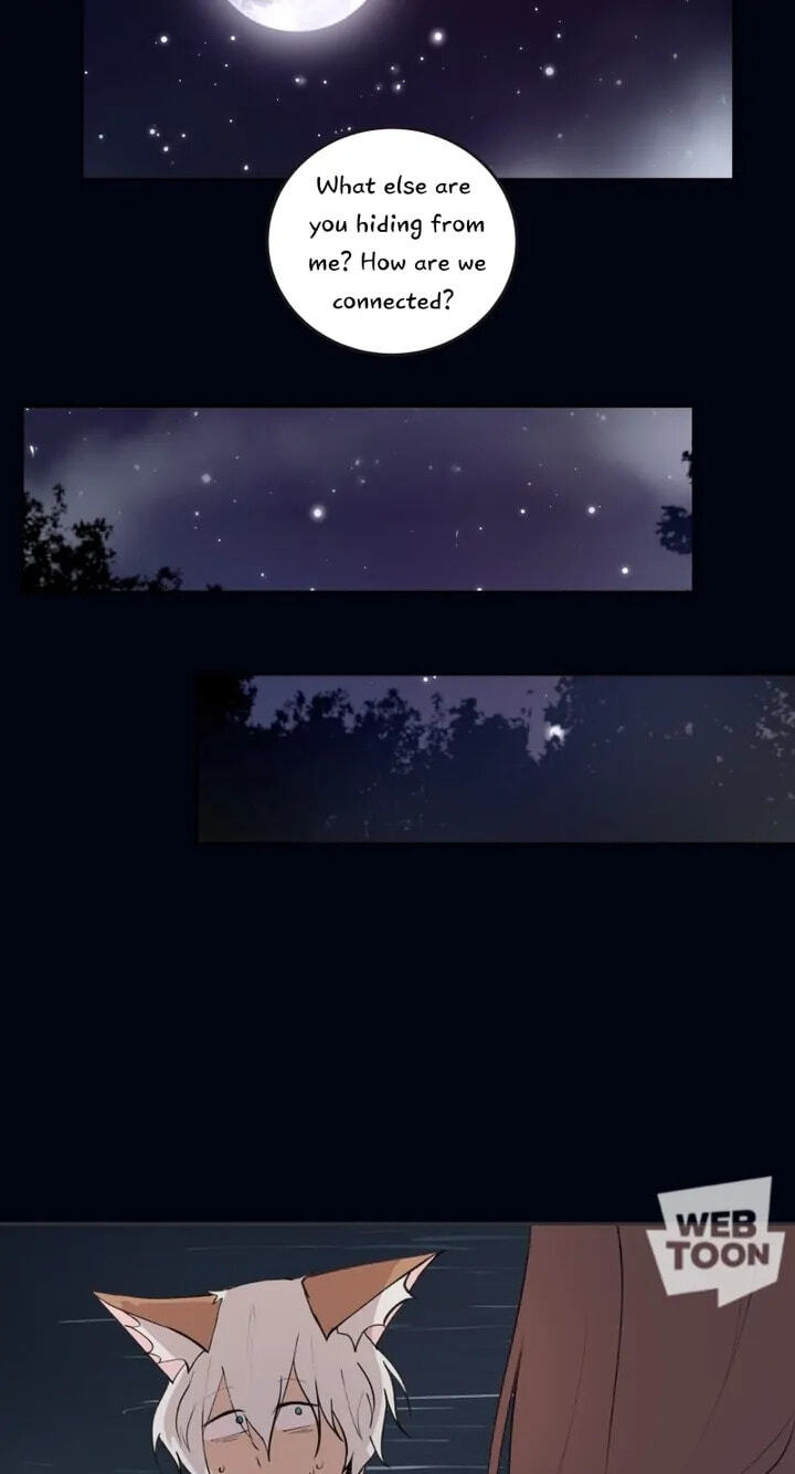 Fluffy Boyfriend Chapter 37 page 13 - 