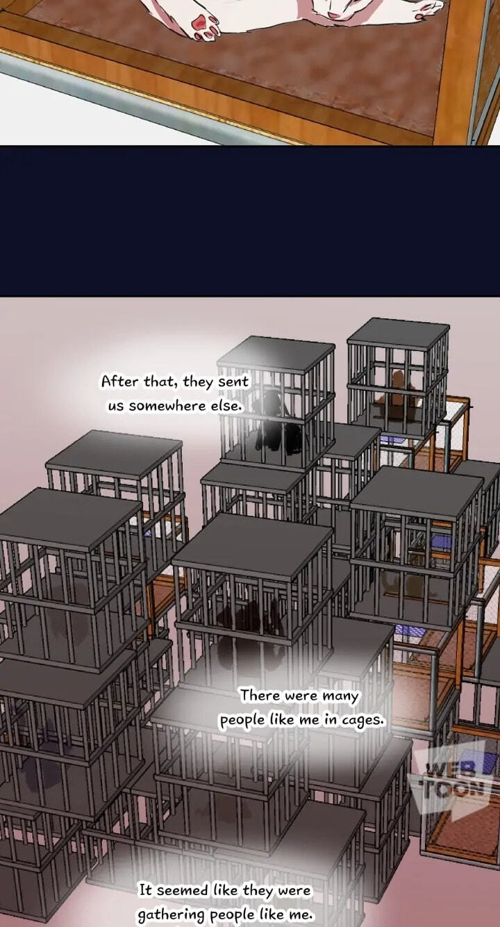 Fluffy Boyfriend Chapter 46 page 25 - 
