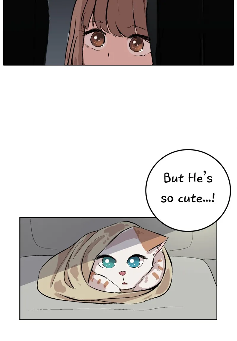 Fluffy Boyfriend Chapter 5 page 24 - 