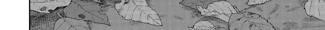 Fly Me to the Moon Chapter 104.1 page 20 - 