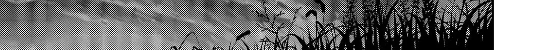 Fly Me to the Moon Chapter 104.1 page 22 - 