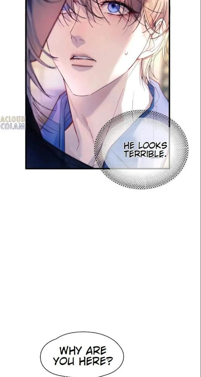 Fly over the sea Chapter 33 page 43 - 