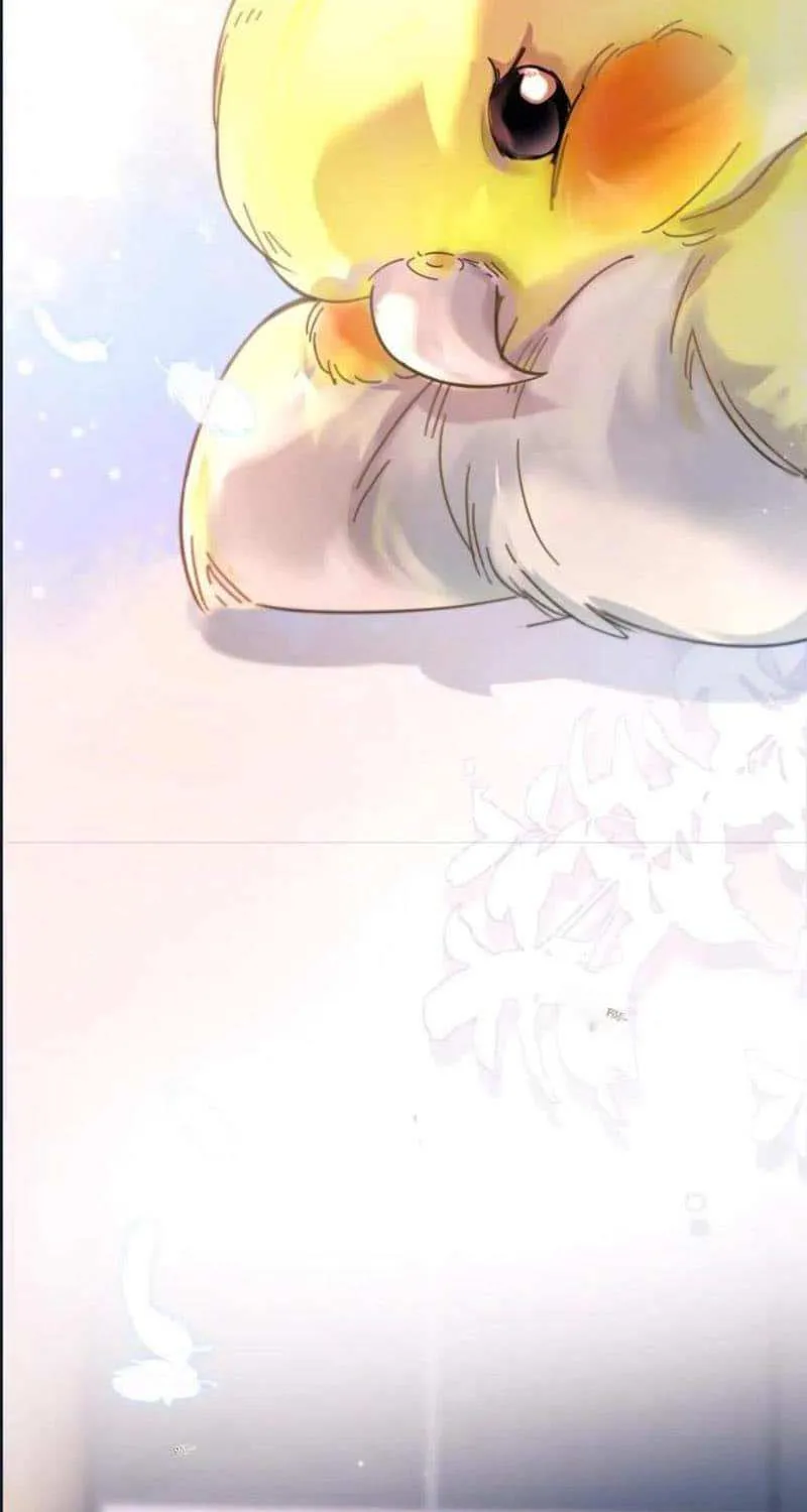 Fly over the sea Chapter 36 page 14 - 