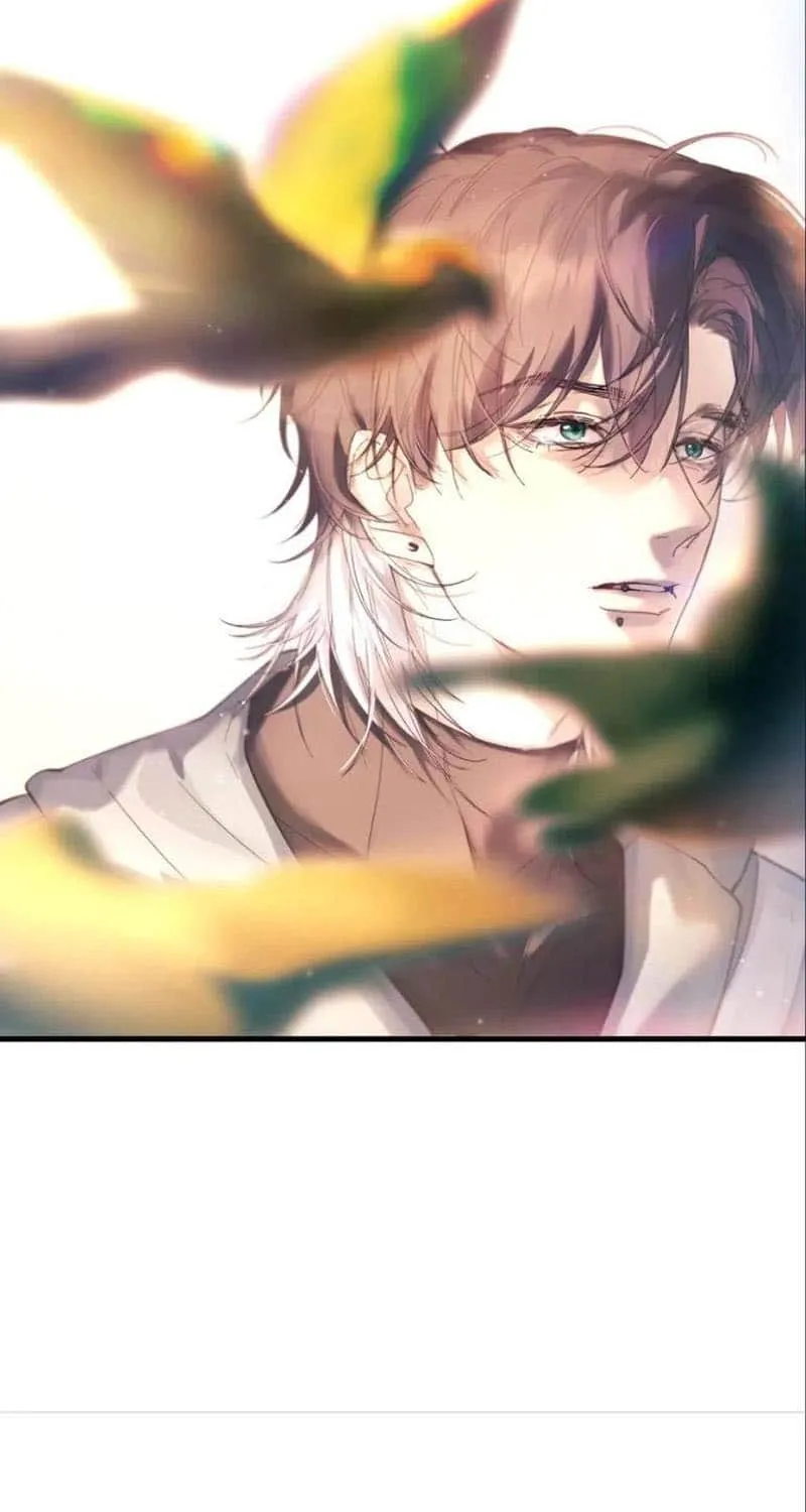 Fly over the sea Chapter 36 page 36 - 
