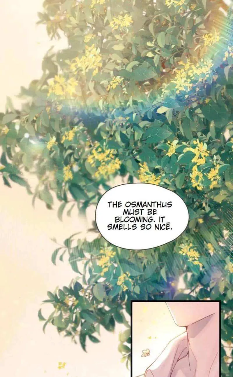 Fly over the sea Chapter 37 page 16 - 