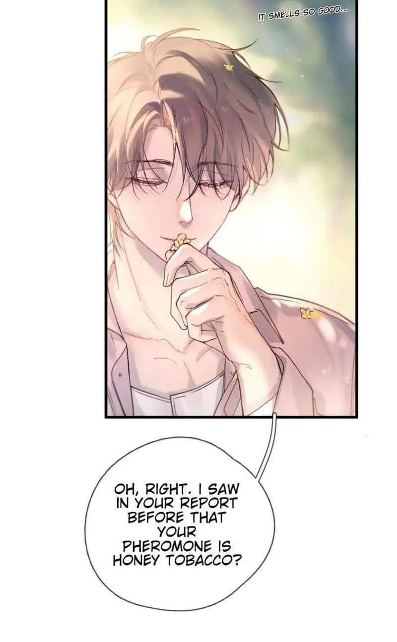 Fly over the sea Chapter 37 page 21 - 