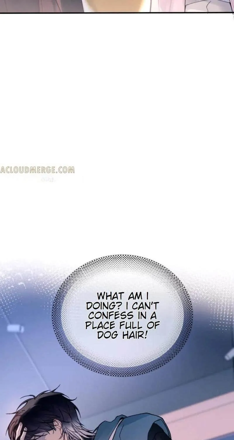Fly over the sea Chapter 37 page 7 - 