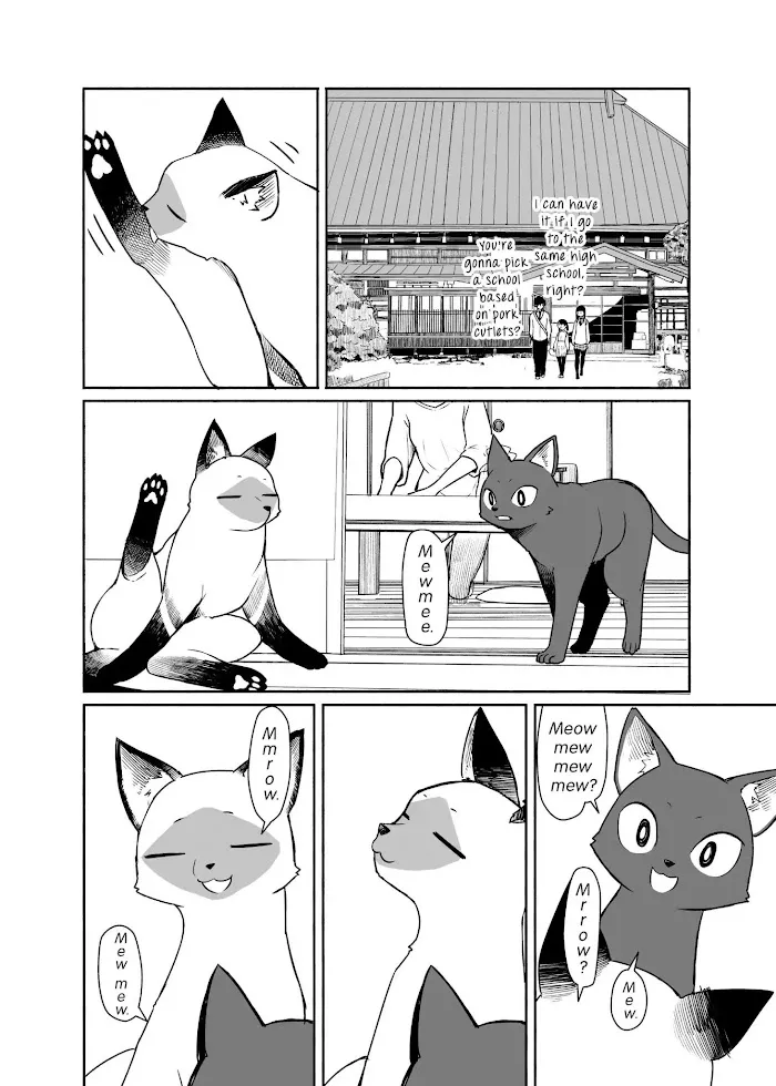 Flying☆Witch Chapter 33 page 6 - 