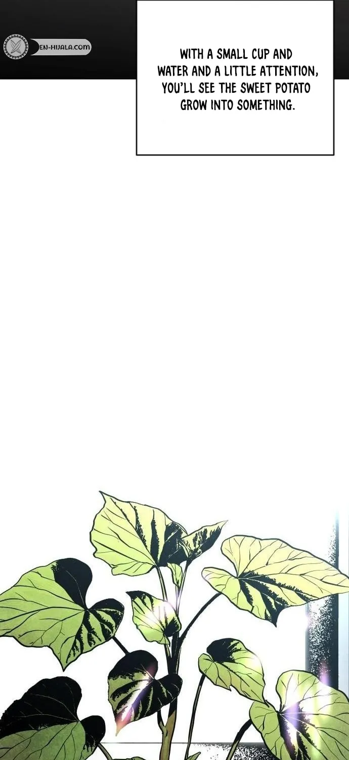 Fog Land Chapter 0 page 97 - 