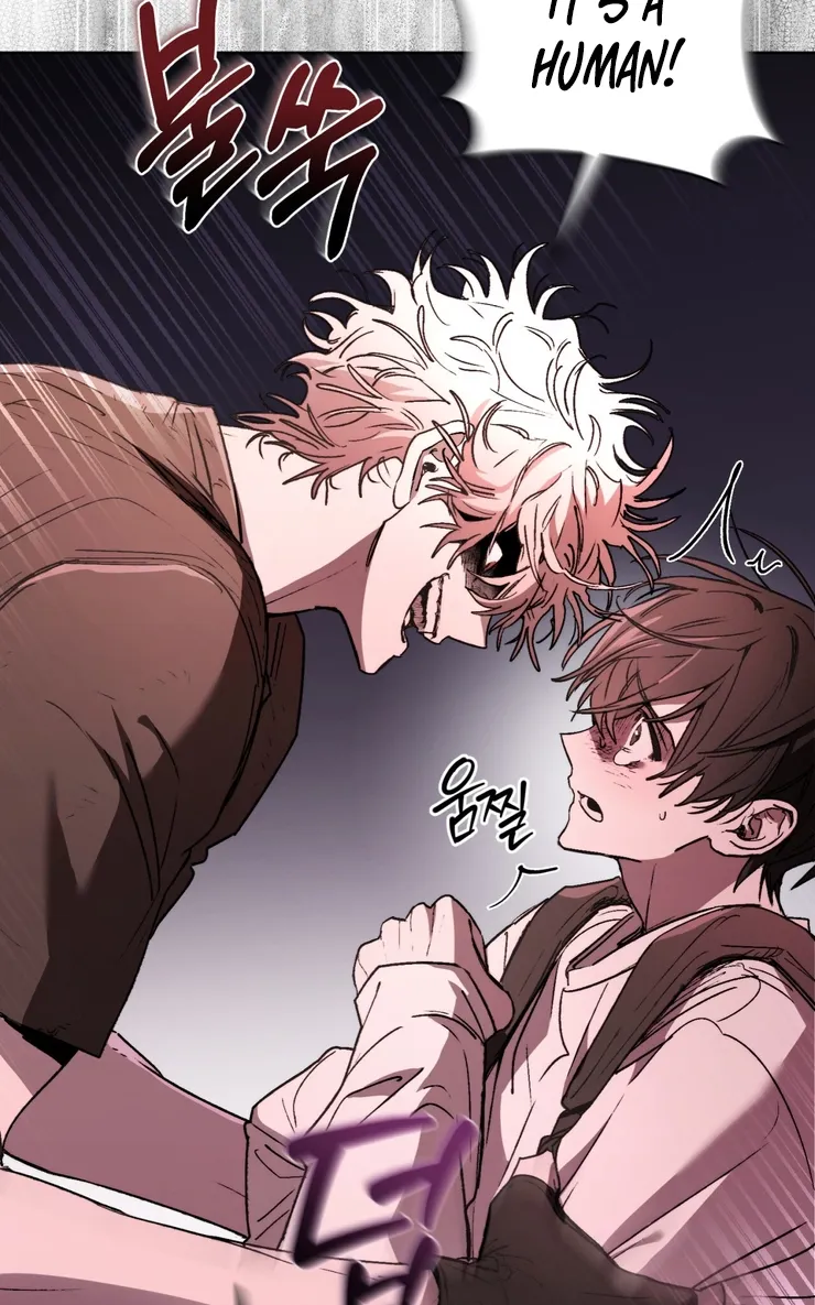 Follow the Sheep Into the Abyss Chapter 2 page 16 - 