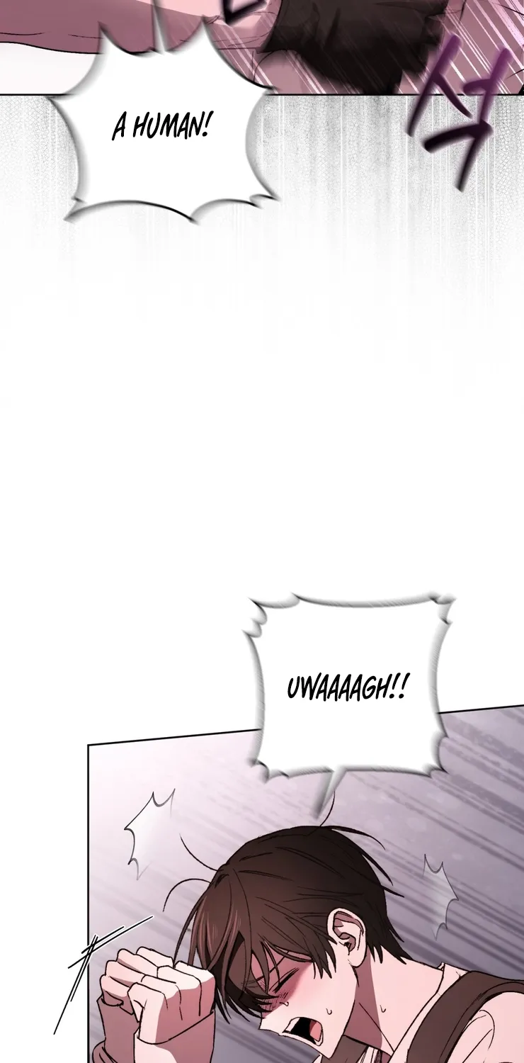 Follow the Sheep Into the Abyss Chapter 2 page 17 - 
