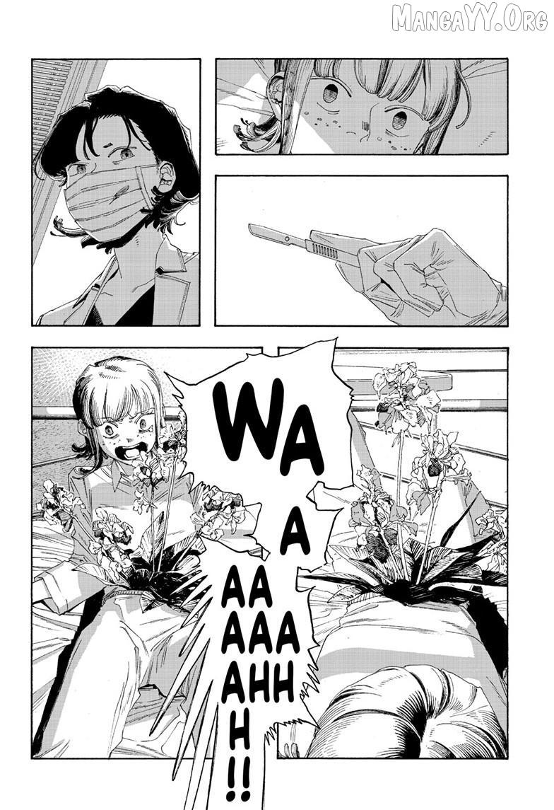 Fool