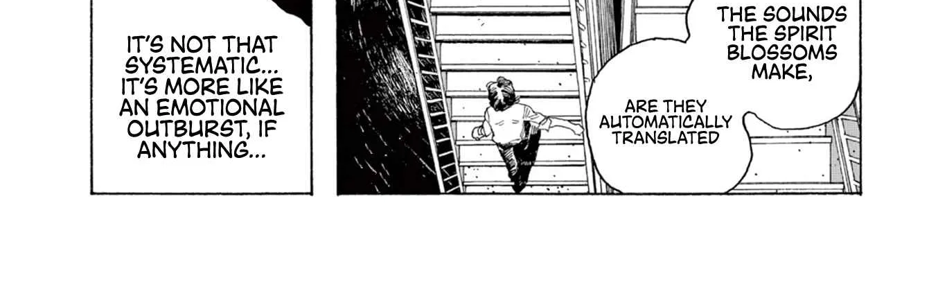 Fool