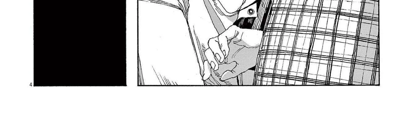 Fool