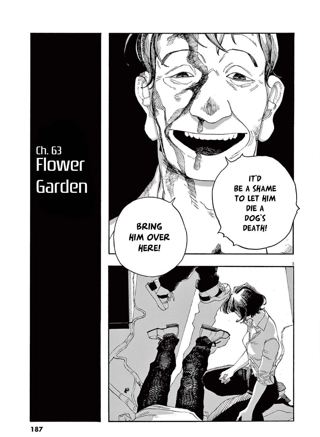 Fool