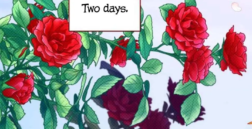 For My Derelict Beloved Chapter 2 page 16 - 