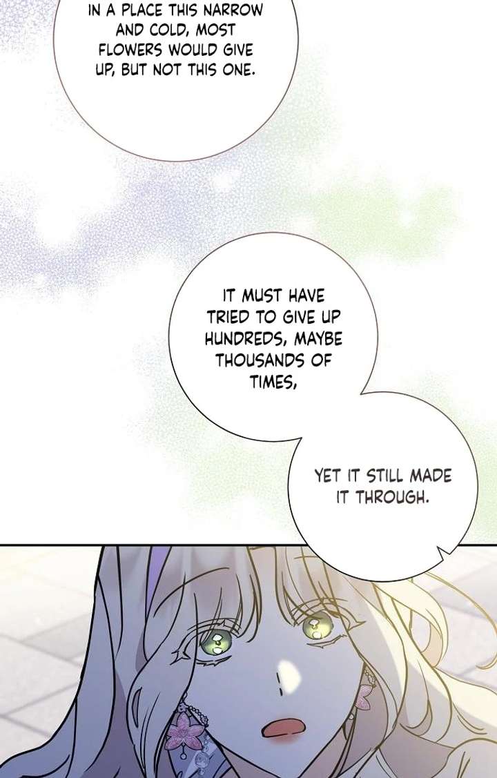 For My Gentle Monster Chapter 3 page 43 - 