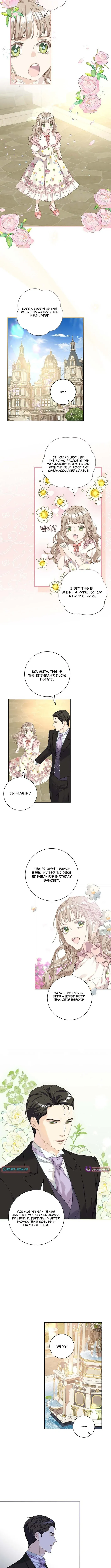 For My Husband’s New Wife Chapter 1 page 3 - 