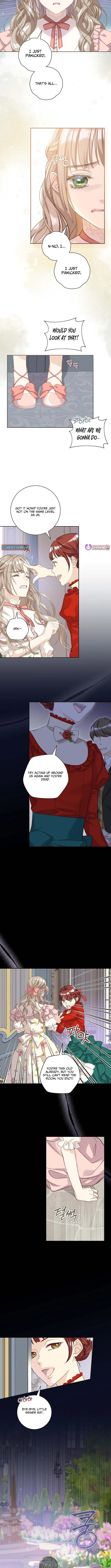 For My Husband’s New Wife Chapter 1 page 6 - 