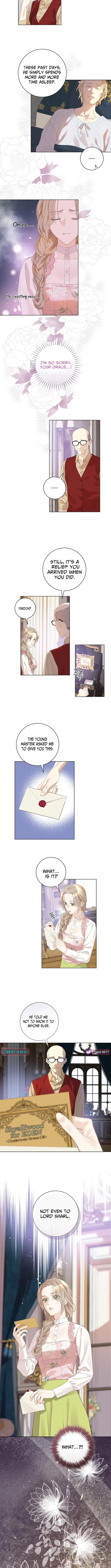 For My Husband’s New Wife Chapter 11 page 6 - 