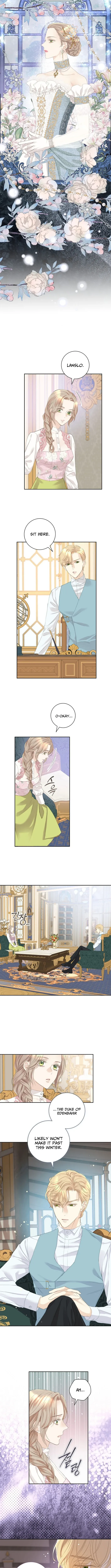 For My Husband’s New Wife Chapter 12 page 5 - 