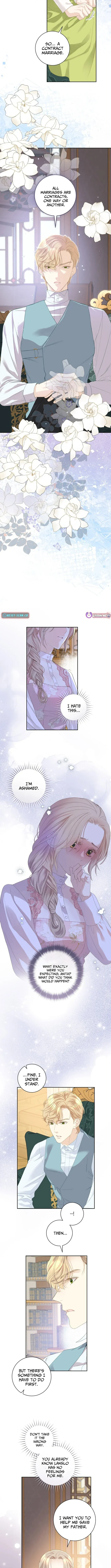 For My Husband’s New Wife Chapter 12 page 7 - 