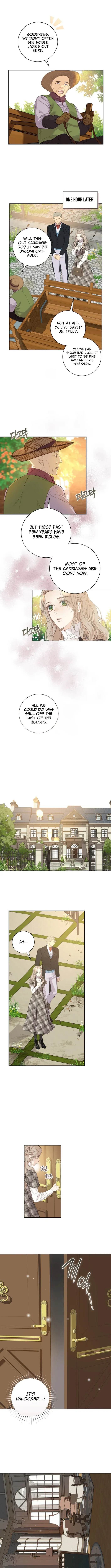 For My Husband’s New Wife Chapter 16 page 5 - 