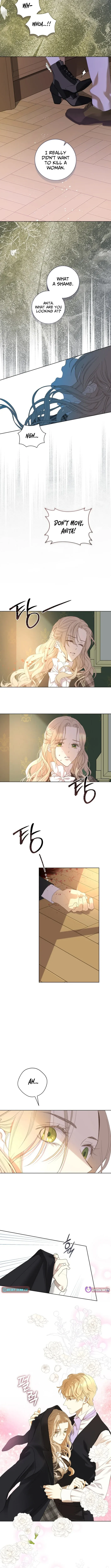 For My Husband’s New Wife Chapter 17 page 4 - 