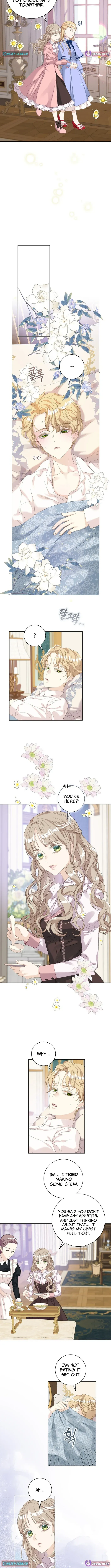 For My Husband’s New Wife Chapter 4 page 4 - 