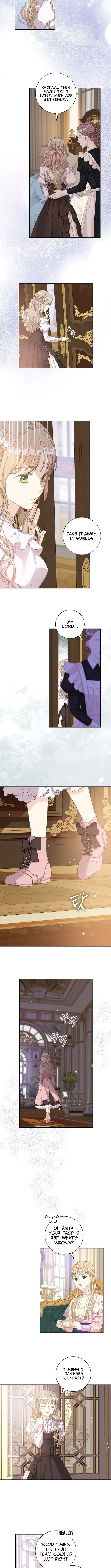 For My Husband’s New Wife Chapter 4 page 5 - 